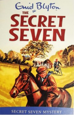 The Secret Seven: Secret Seven Mystery